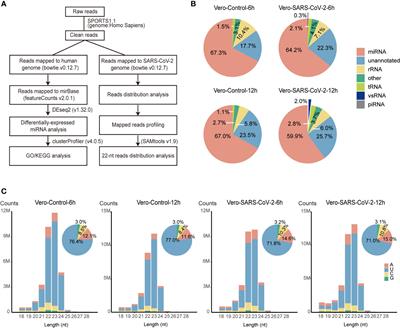 SARS-CoV-2 RNAs are processed into 22-nt vsRNAs in Vero cells